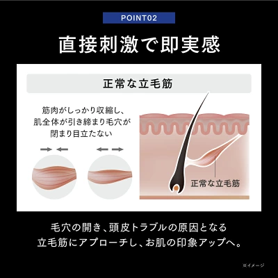 プルーヴコア　立毛筋へのアプローチ